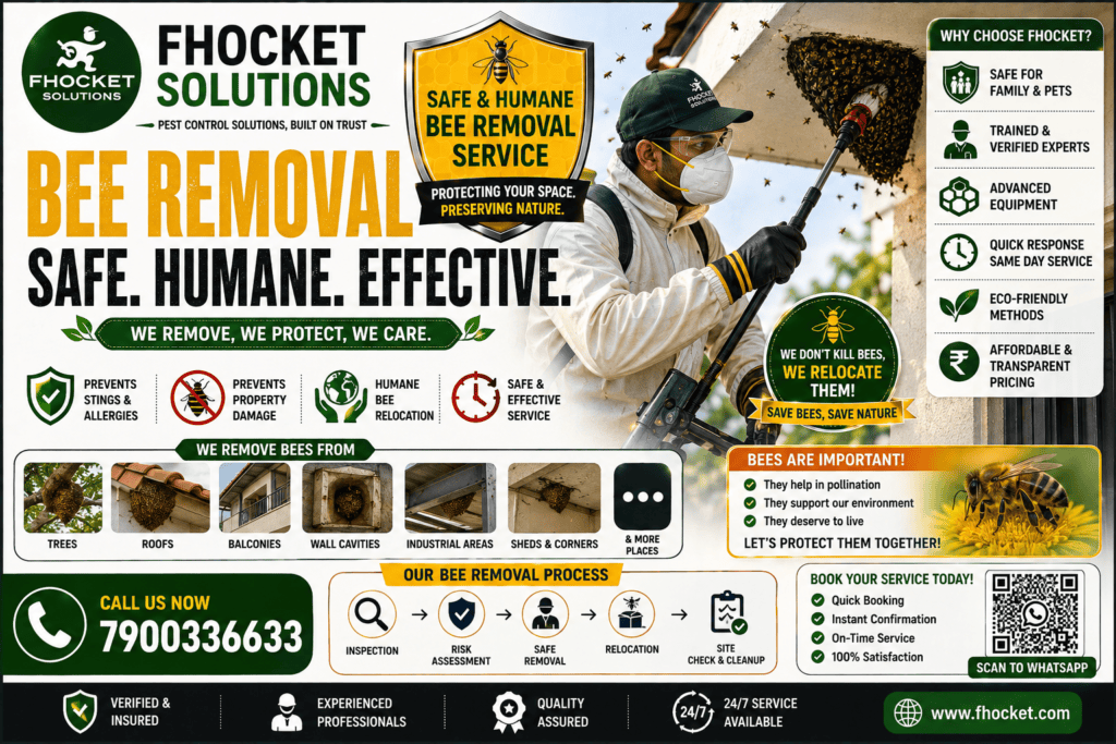 Bee Removal