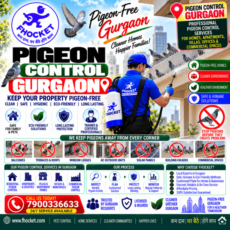 Pigeon Control Gurgaon